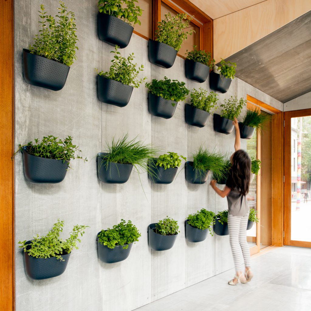 Archiblox – Carbon Positive House