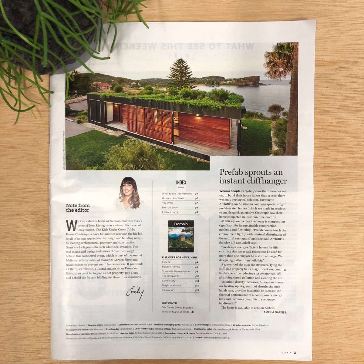 Domain Magazine