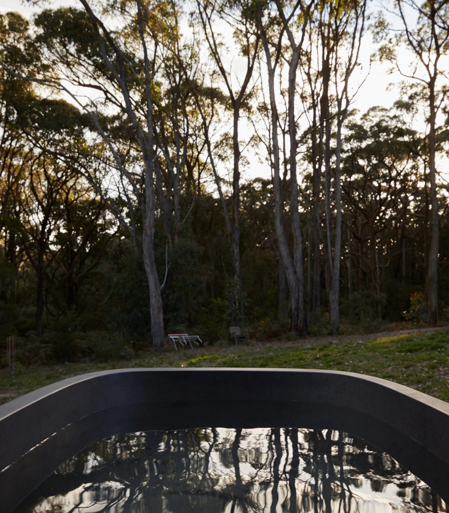treebathimg-web