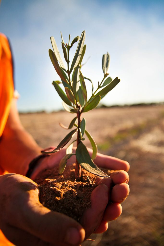close up man holding plant