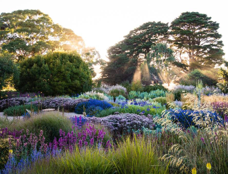 claire takacs garden image