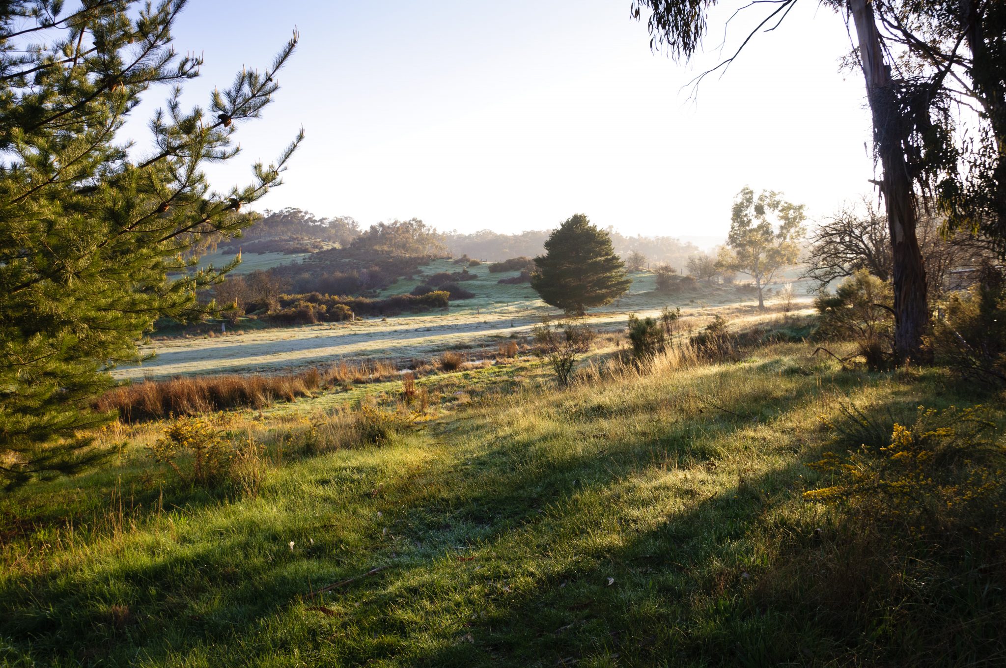 chewton landscape image